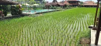 Alamanda Family Villas, Pool & Local Tours