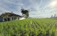 Stay and Farm Hostel