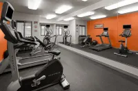 Holiday Inn Express SYRACUSE-FAIRGROUNDS by IHG - Pet friendly