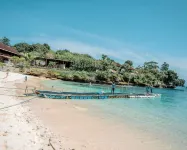 The Tanis Beach Resort Nusa Lembongan - Beach resorts