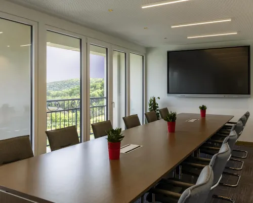 Movenpick Resort and Spa Fruske Terme Business Facilities Photos