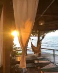 Saffron on the Sea Resort - que admiten mascotas