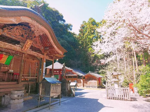 Tosaryu Onsen Sanyoso - spa