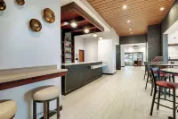 Drury廣場酒店辛辛那提弗洛倫薩 - 酒吧