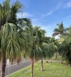 Sans Souci Apartments - Parking