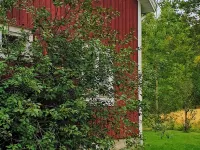 4 person holiday home in JÄRVSÖ-By Traum - Wifi
