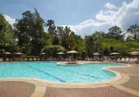 Omni Shoreham Hotel - Swimmingpools