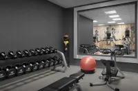 Hilton Garden Inn Auburn/Opelika - Gym