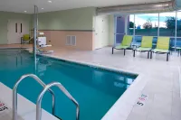 SpringHill Suites Kansas City Lenexa/City Center - Pools
