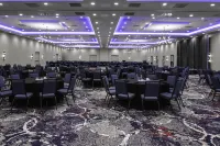 Hilton Garden Inn Denison/Sherman/at Texoma Event Center - Parkplatz