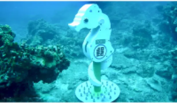 台東夏卡爾民宿