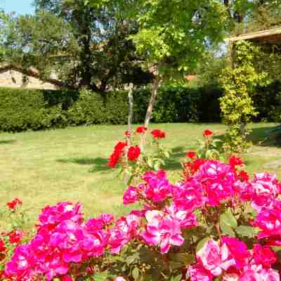Three-Room Apartment on the Outskirts of Chianti Hotel Exterior