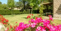 Three-Room Apartment on the Outskirts of Chianti