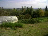 Il Cigliere Your Holiday Home in the Heart of Tuscany