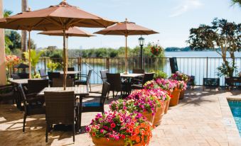 a patio with several potted plants , umbrellas , and chairs arranged for outdoor dining near a lake at Inn on the Lakes