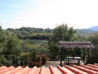 La Farfalla n°5