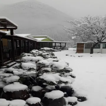 Danyang Goindol Pension Отели рядом с достопримечательностью «Пещера Косу»