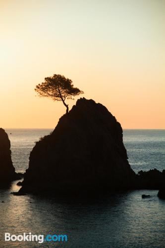 Other Mana Mana Youth Hostel Photo