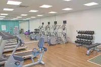 Holiday Inn Express & Suites ST. Louis South - I-55 Hotels in Lemay