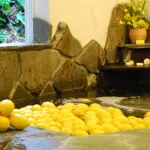 Izukogen Onsen Chiisana Hotel Lemonju
