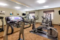 Comfort Inn & Suites - Gym