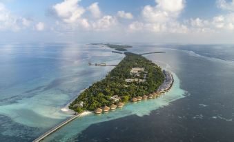 a beautiful tropical island with white sandy beaches and clear blue water , surrounded by lush green vegetation at The Residence Maldives at Dhigurah