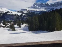 Elfe-Apartments: Two-Room Apartment with Garden, 2-4 Guests Hotels in Emmetten