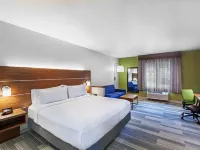Holiday Inn Express & Suites DALLAS LEWISVILLE by IHG Hotels in Denton County