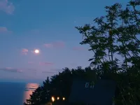 Ulleungdo Felice Pension Hotels in Ulleung-gun