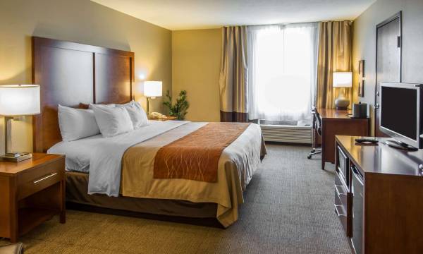 Comfort Inn & Suites