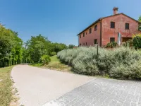 Francigena