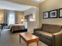 Comfort Inn & Suites Suwanee - Sugarloaf Hotels in Suwanee