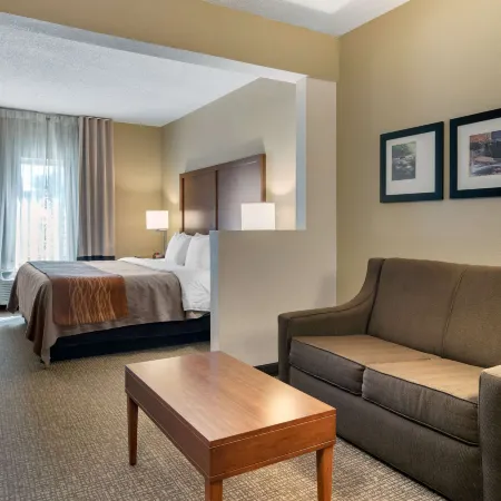 Comfort Inn & Suites Suwanee - Sugarloaf