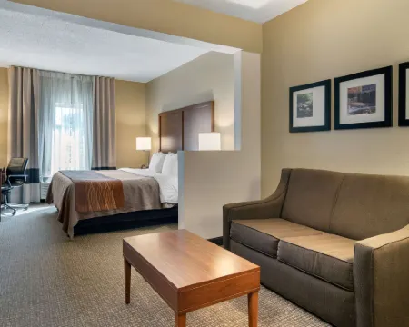 Comfort Inn & Suites Suwanee - Sugarloaf スワニーのホテル