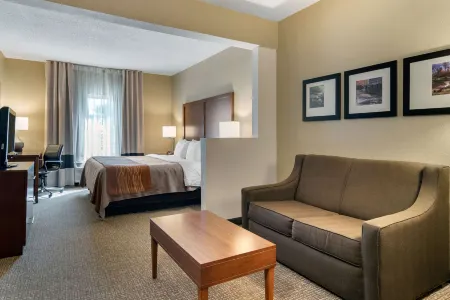 Comfort Inn & Suites Suwanee - Sugarloaf