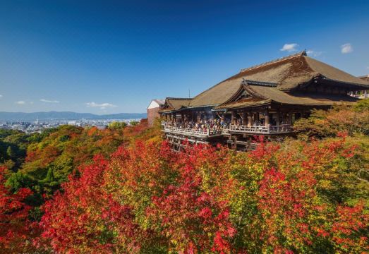 호텔 올리브 교토 야마시나