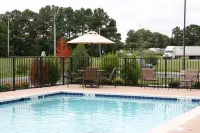 Hampton Inn & Suites Exmore - Eastern Shore - Swimmingpools