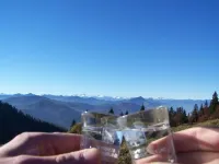 Hotel Tiroler Adler Bed & Breakfast - Mountain view