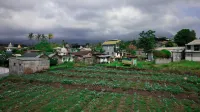 Villa Safari Syari'ah Mountain View by Masterpiece Villa