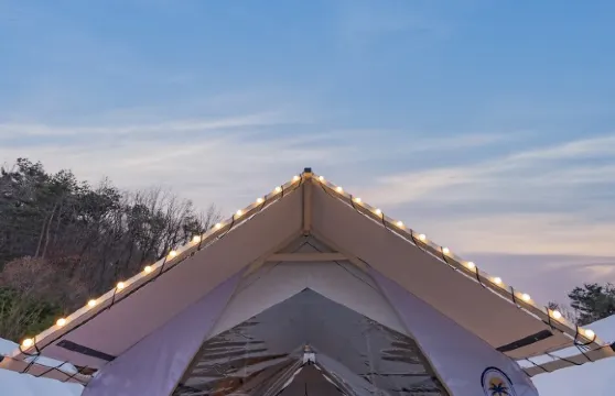 山清葡萄園豪華露營