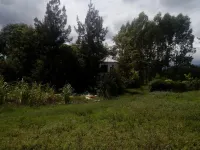 Game Changers Lodge - Safari