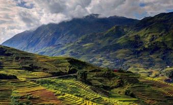 Eco Palms House - Sapa Retreat