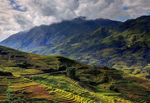 에코 팜 하우스 방갈로 뷰