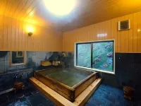 Yanagiya Hotels in Ogano