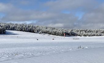 Ecole de Pilotage Ulm Lozere