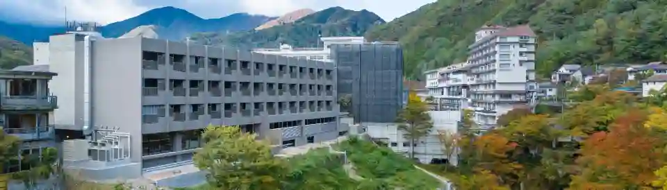 Minakami Onsen Aratashi Minakami