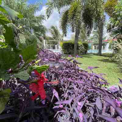 Le Cocotel Hotel Exterior