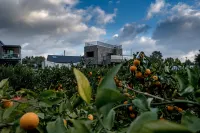 제주 느링느링 스테이