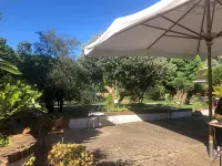 Magione B&B Hotels in Forchia