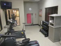 Best Western Plus Omaha Airport Inn - Gym